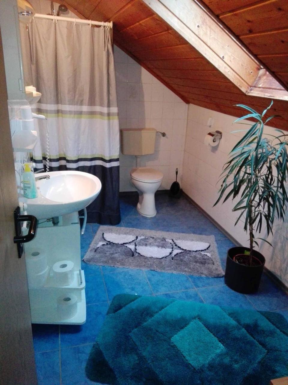 Ferienwohnung Dichtl グラフェナウ エクステリア 写真